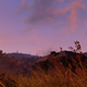 Image for article titled Fallout 76: My First Day Out Of The Vault